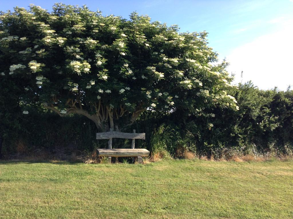 Deeside Manor Bed & Breakfast Stabannan Eksteriør bilde